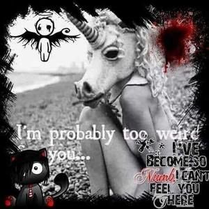 Meet your Posher, Nikki